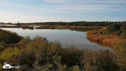 Hog Island Wildlife Management Area Live Cam - Sep 8, 2026, 8:14am EDT