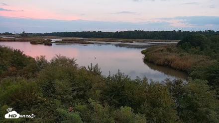 Hog Island Wildlife Management Area Live Cam - Aug 31, 2026, 7:36pm EDT