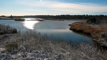 Hog Island Wildlife Management Area Live Cam - Dec 9, 2025, 10:25am EST