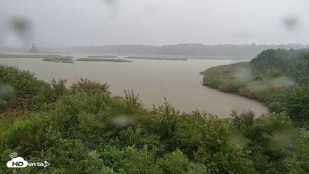 Hog Island Wildlife Management Area Live Cam - Jul 28, 2026, 7:57pm EDT