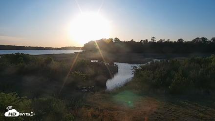 Hog Island Wildlife Management Area Live Cam - Apr 28, 2026, 7:18pm EDT
