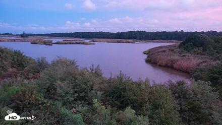 Hog Island Wildlife Management Area Live Cam - Aug 29, 2026, 7:49pm EDT
