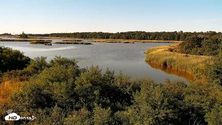 Hog Island Wildlife Management Area Live Cam - May 29, 2026, 7:51am EDT