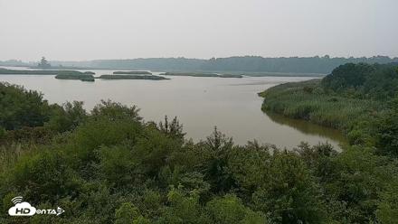 Hog Island Wildlife Management Area Live Cam - Jul 17, 2026, 11:51am EDT