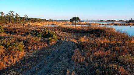 Hog Island Wildlife Management Area Live Cam - Jan 7, 2026, 4:32pm EST