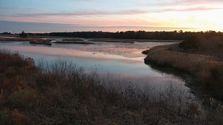 Hog Island Wildlife Management Area Live Cam - Jan 1, 2026, 5:15pm EST