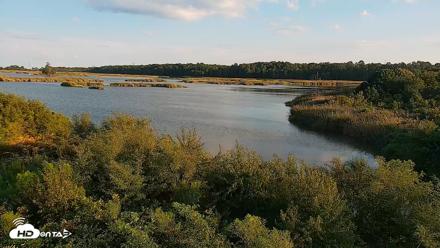 Hog Island Wildlife Management Area Live Cam - Aug 23, 2026, 6:48pm EDT