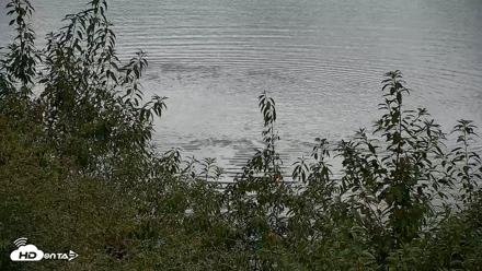 Hog Island Wildlife Management Area Live Cam - Sep 13, 2026, 11:58am EDT