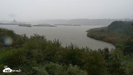 Hog Island Wildlife Management Area Live Cam - Sep 5, 2026, 1:34pm EDT