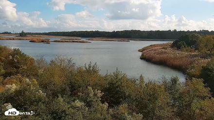 Hog Island Wildlife Management Area Live Cam - Oct 23, 2026, 3:35pm EDT