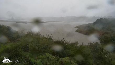 Hog Island Wildlife Management Area Live Cam - Sep 12, 2026, 5:10pm EDT
