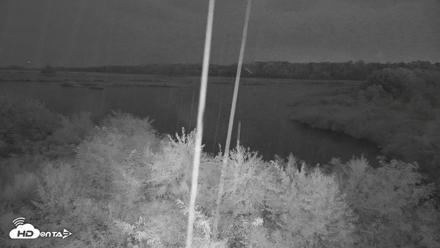 Hog Island Wildlife Management Area Live Cam - Sep 4, 2026, 7:50pm EDT