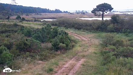 Hog Island Wildlife Management Area Live Cam - Sep 4, 2026, 6:50pm EDT