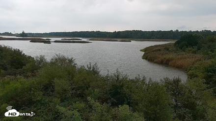 Hog Island Wildlife Management Area Live Cam - Sep 12, 2026, 12:14pm EDT