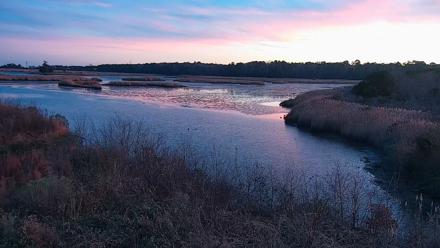Hog Island Wildlife Management Area Live Cam - Dec 20, 2025, 5:05pm EST