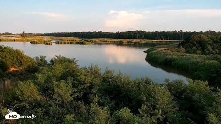 Hog Island Wildlife Management Area Live Cam - Jun 11, 2026, 7:46pm EDT