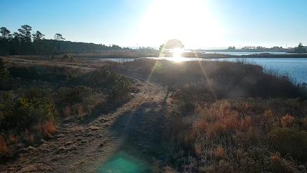 Hog Island Wildlife Management Area Live Cam - Jan 19, 2026, 8:00am EST