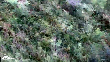 Hog Island Wildlife Management Area Live Cam - Aug 20, 2026, 5:16pm EDT
