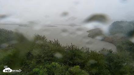 Hog Island Wildlife Management Area Live Cam - Aug 20, 2026, 2:29pm EDT