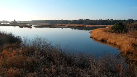 Hog Island Wildlife Management Area Live Cam - Mar 1, 2026, 7:29am EST