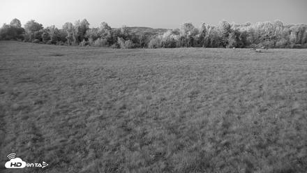Tennessee Elk Live Webcam - Oct 6, 2026, 7:35pm EDT