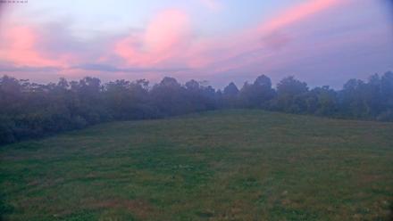 Tennessee Elk Live Webcam - Oct 10, 2025, 7:18pm EDT