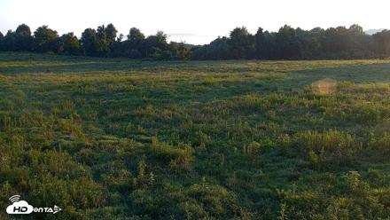Tennessee Elk Live Webcam - Jul 30, 2026, 7:09am EDT