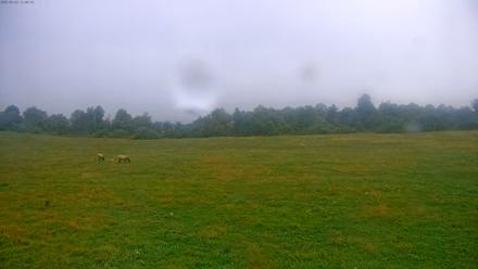 Tennessee Elk Live Webcam - Sep 23, 2025, 9:25am EDT