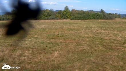 Tennessee Elk Live Webcam - Oct 14, 2026, 4:00pm EDT