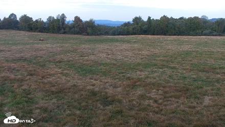 Tennessee Elk Live Webcam - Oct 15, 2026, 7:04pm EDT