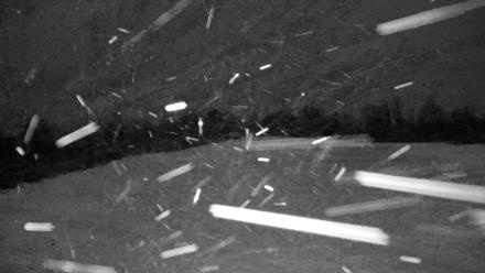 Tennessee Elk Live Webcam - Jan 31, 2026, 10:08pm EST