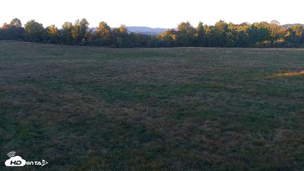 Tennessee Elk Live Webcam - Oct 6, 2026, 6:56pm EDT