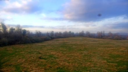 Tennessee Elk Live Webcam - Nov 15, 2025, 5:05pm EST