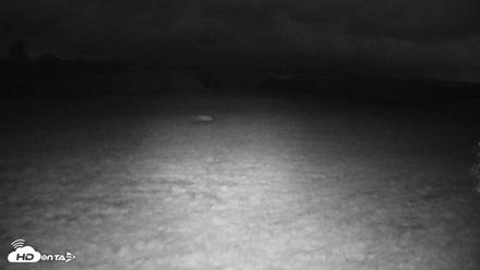 Tennessee Elk Live Webcam - Oct 16, 2026, 7:45pm EDT