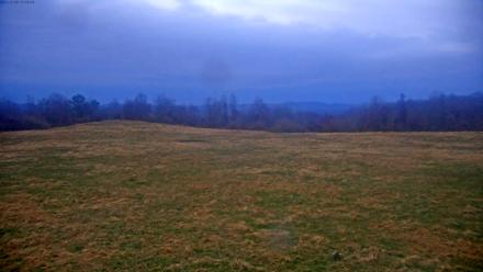 Tennessee Elk Live Webcam - Dec 7, 2025, 5:35pm EST