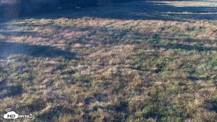 Tennessee Elk Live Webcam - Oct 8, 2026, 6:01pm EDT