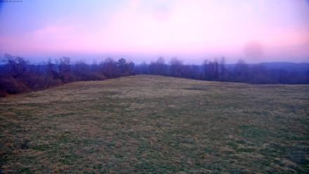 Tennessee Elk Live Webcam - Jan 8, 2026, 7:46am EST