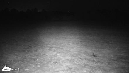 Tennessee Elk Live Webcam - Oct 7, 2026, 12:28am EDT