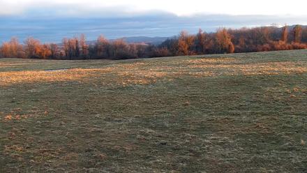 Tennessee Elk Live Webcam - Feb 16, 2026, 7:39am EST