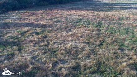 Tennessee Elk Live Webcam - Oct 26, 2026, 5:29pm EDT