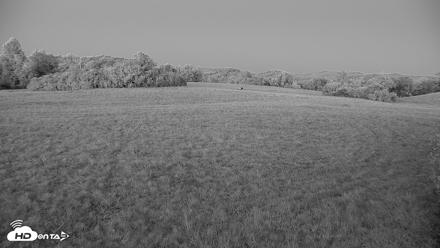 Tennessee Elk Live Webcam - Oct 13, 2026, 7:22pm EDT