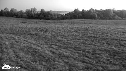 Tennessee Elk Live Webcam - Oct 7, 2026, 7:14am EDT