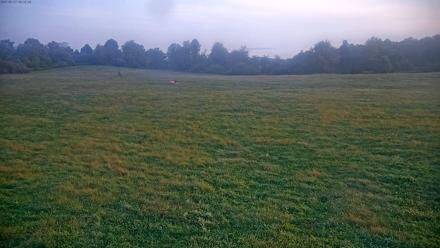 Tennessee Elk Live Webcam - Sep 17, 2025, 7:50am EDT