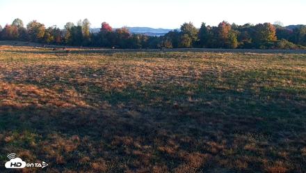 Tennessee Elk Live Webcam - Oct 26, 2026, 8:19am EDT