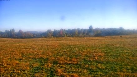 Tennessee Elk Live Webcam - Oct 22, 2025, 8:46am EDT