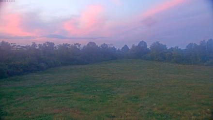 Tennessee Elk Live Webcam - Oct 10, 2025, 7:19pm EDT