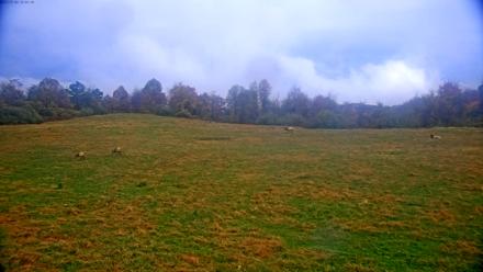 Tennessee Elk Live Webcam - Nov 2, 2025, 9:43am EST