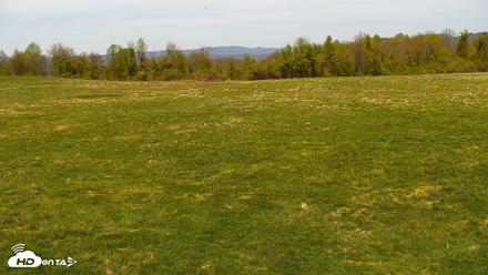 Tennessee Elk Live Webcam - Apr 10, 2026, 2:43pm EDT