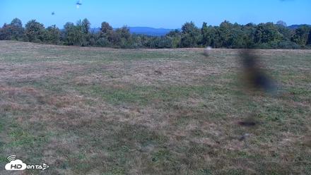 Tennessee Elk Live Webcam - Oct 13, 2026, 12:38pm EDT