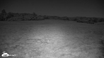 Tennessee Elk Live Webcam - Oct 26, 2026, 4:25am EDT